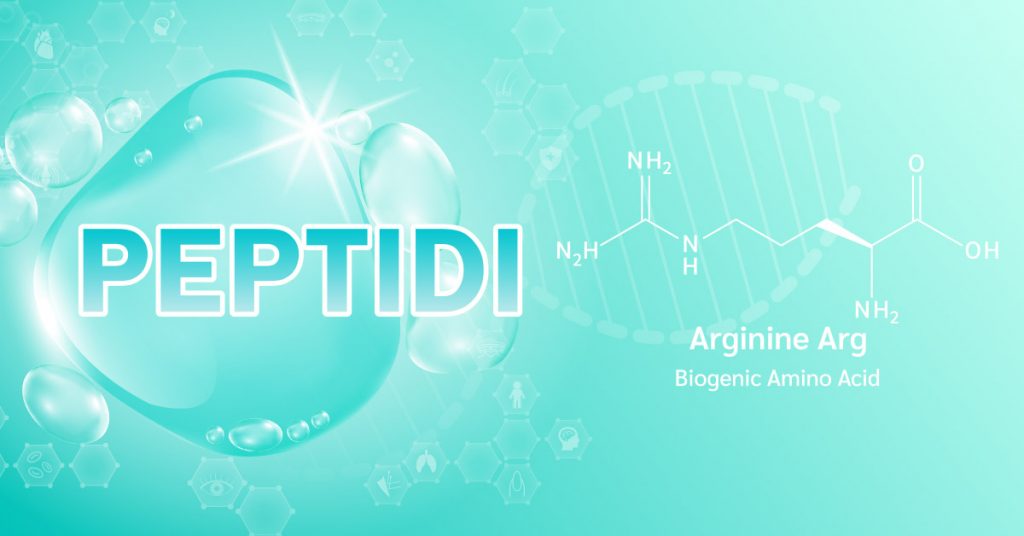 i peptidi: catene di amminoacidi che creano il legame peptidico