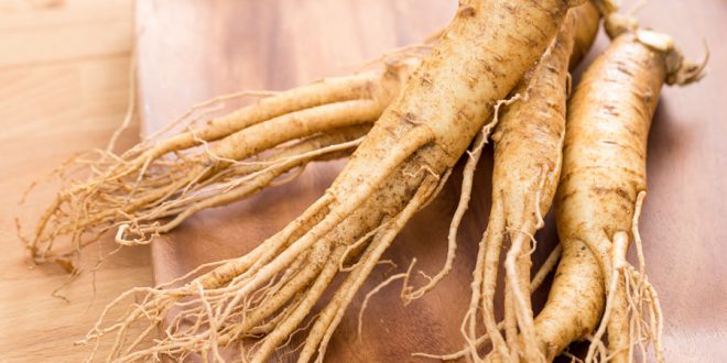 Ginseng proprietà tipologie ed uso cosmetico