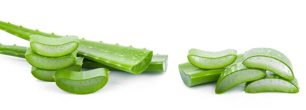 Aloe vera: benefici per la pelle e come usarla in cosmetica | My Beauty  Routine
