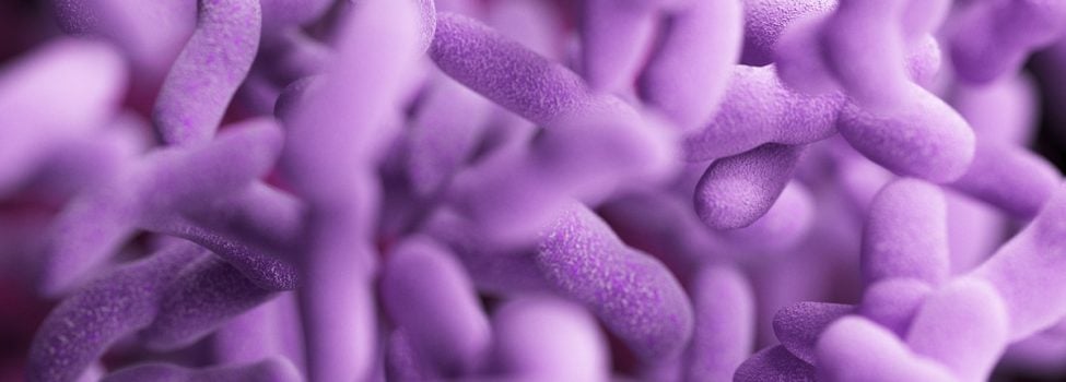microbioma_2