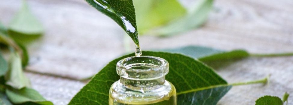 tea tree oil